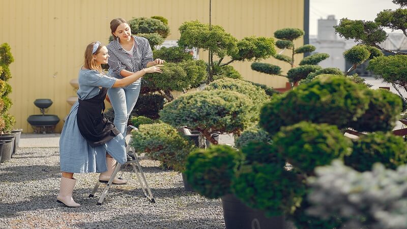 Creating a Functional and Beautiful Landscape Design