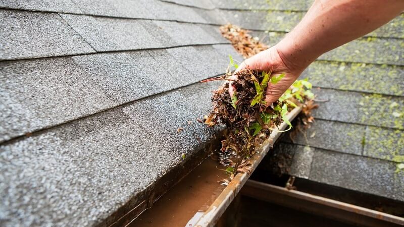 Top 5 Signs It’s Time to Replace Your Gutters Not Just Clean Them