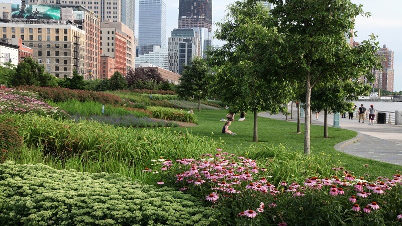Experts Predict a Rise in Climate-Resilient Landscaping